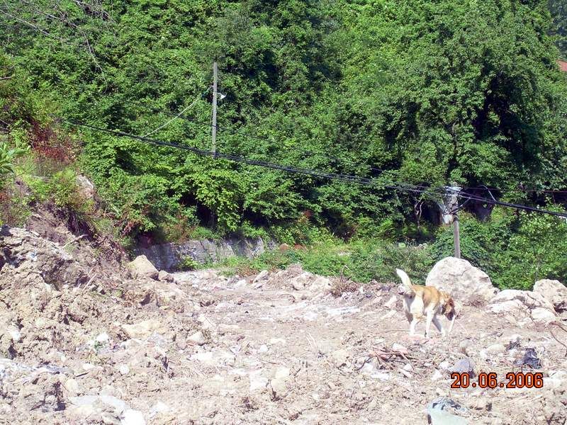 2006 Haziran ayında köyümüzde çekilen fotograflar